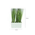 Matera pasto Multicolor Plantas 14.5 x 6.6 x 27 cm
