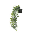 Matera Ficus Plástico Multicolor Jardín 18x45cm