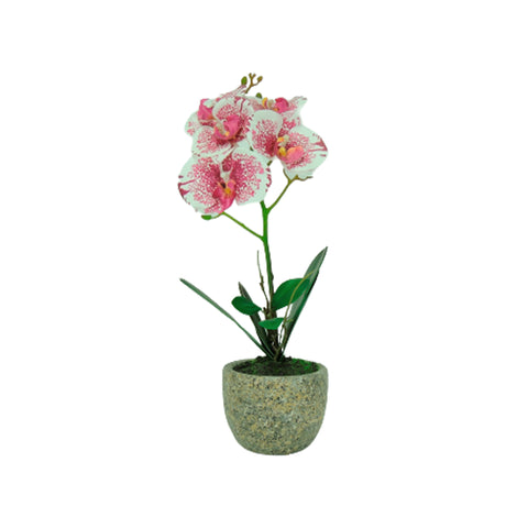 Matera Orquídea Plástico Rosa Jardín 11x40cm