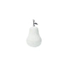 Fruta pera Blanco Spark 15 x 23 cm