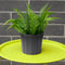Maceta Negro Garden 20 x 18 cm