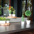 Matera Cactus Flor Verde Naranja Garden 9.5X29cm